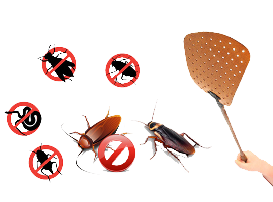 Pest-Control-Management-Application